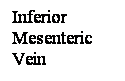 Cuadro de texto: Inferior Mesenteric Vein
