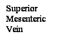 Cuadro de texto: Superior Mesenteric Vein
