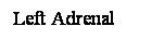 Cuadro de texto: Left Adrenal
