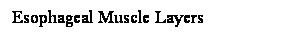 Cuadro de texto: Esophageal Muscle Layers
