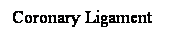 Cuadro de texto: Coronary Ligament
