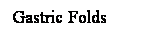 Cuadro de texto: Gastric Folds
