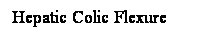 Cuadro de texto: Hepatic Colic Flexure
