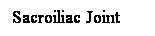 Cuadro de texto: Sacroiliac Joint
