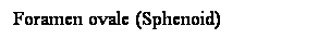 Cuadro de texto: Foramen ovale (Sphenoid)
