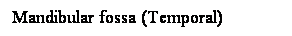 Cuadro de texto: Mandibular fossa (Temporal)
