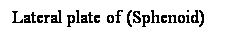 Cuadro de texto: Lateral plate of (Sphenoid)
