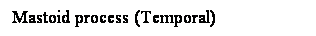 Cuadro de texto: Mastoid process (Temporal)
