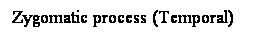 Cuadro de texto: Zygomatic process (Temporal)
