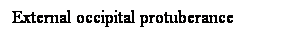 Cuadro de texto: External occipital protuberance
