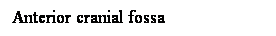 Cuadro de texto: Anterior cranial fossa
