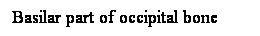 Cuadro de texto: Basilar part of occipital bone
