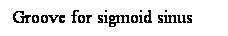 Cuadro de texto: Groove for sigmoid sinus
