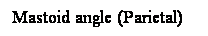Cuadro de texto: Mastoid angle (Parietal)
