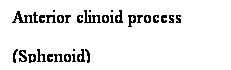 Cuadro de texto: Anterior clinoid process 
(Sphenoid)
