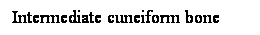 Cuadro de texto: Intermediate cuneiform bone
