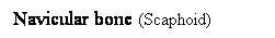 Cuadro de texto: Navicular bone (Scaphoid)
