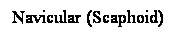 Cuadro de texto: Navicular (Scaphoid)
