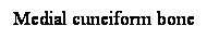 Cuadro de texto: Medial cuneiform bone
