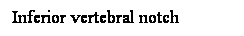 Cuadro de texto: Inferior vertebral notch
