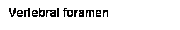 Cuadro de texto: Vertebral foramen
