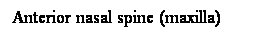 Cuadro de texto: Anterior nasal spine (maxilla)

