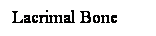 Cuadro de texto: Lacrimal Bone
