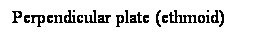 Cuadro de texto: Perpendicular plate (ethmoid)
