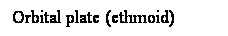 Cuadro de texto: Orbital plate (ethmoid) 
