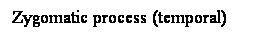 Cuadro de texto: Zygomatic process (temporal)
