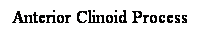 Cuadro de texto: Anterior Clinoid Process
