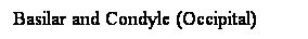 Cuadro de texto: Basilar and Condyle (Occipital)
