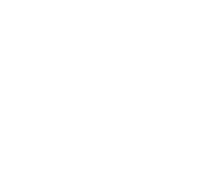 Cuadro de texto: The biological characteristics of thallium-201 is known to be similar to those of potassium as a transport substrate in the presence of  glucose, insulin or phobol myristate acetate (PMA). 
